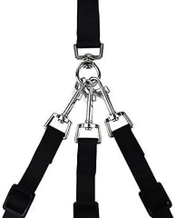 MoSANY adjustable leash extenders enabling custom control for different dog sizes