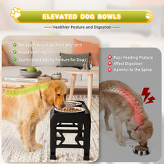 Moserein elevated dog bowls stainless steel bowls highlight durability and easy cleaning.