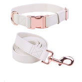 MoTaity dog collar and leash set with microfiber leather and rose-gold buckle for durable daily walks.