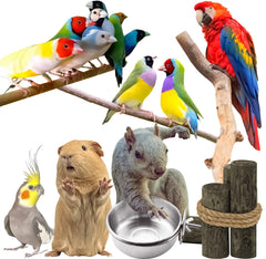 MotBach bird bowl weight 113g ensures durable support without overloading cage bars.