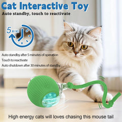 Moterej Speedy Tail 3.0 interactive modes illustration for tailored play.