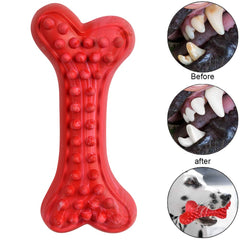 Motusamare indestructible dog bone toy close-up highlights durable chew surface.