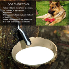 Motusamare large dog toy shows high durability for 50-75 lb dogs.