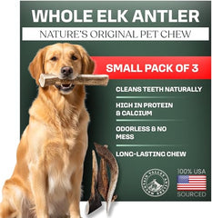 Mountain Valley Antlers elk-antler-dog-chew-pack; natural, long-lasting enrichment for dogs