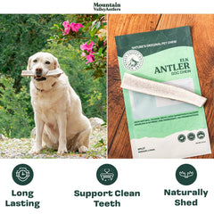 Mountain Valley Antlers durable chew texture ready for aggressive chewers during playtime.