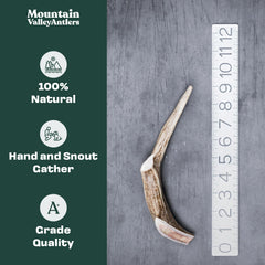 Mountain Valley Antlers natural shed deer antlers — odorless, mess-free indoor chewing.