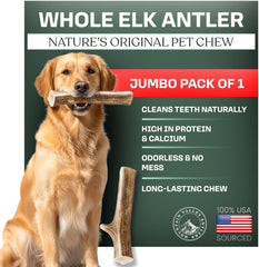 Mountain Valley Antlers packaging image shows natural elk dog chews for mess-free indoor use.