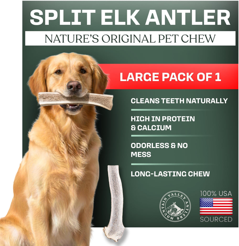Mountain Valley Elk Antlers close-up chew texture for long-lasting chewing