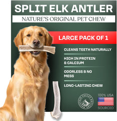 Mountain Valley Elk Antlers close-up chew texture for long-lasting chewing