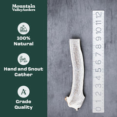 Mountain Valley Elk Antlers dog chew pack shows variety for dogs of all sizes