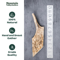 Mountain Valley Moose Antlers strong, durable texture suited for aggressive chewers