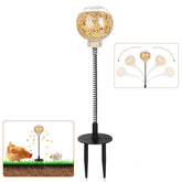 Moyardow Peck Toy ball in action promotes curiosity and slow feeding for hens