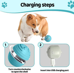 MozoaLata interactive ball with unpredictable bounce for active dogs and cats