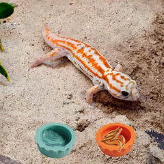 MQACPUPY seven-color dishes enhance tank aesthetics and stimulate feeding interest
