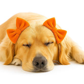 mqajdv dog hair double bow headband orange closeup for photo-ready styling
