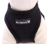 Mr. Peanut's PupTrek XS harness front view with secure step-in design for small pets.