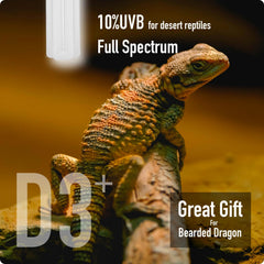 MRREPTILE UVB Reptile Light supports vibrant tropical reptile habitats
