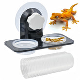 MRTIOO crested gecko feeding ledge closeup with secure non-suction mounting