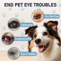 Msktasy-two-pack-eye-drops emphasizes long-term care value in home and travel