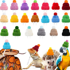 MTLEE mini pet hat pack with varied colors for reptiles and small pets, ideal for cute photos