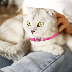 Mtliepte soft nylon collar closeup shows gentle touch for pets