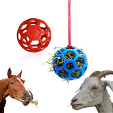 Mtuiewo hay ball paddock play: engaging activity for horses