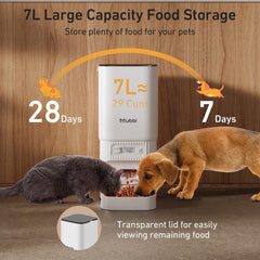 MUBBI automatic feeder with customizable meals showing 1-6 daily portions