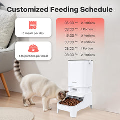 MUBBI dual feeder large capacity reduces refills during busy weeks