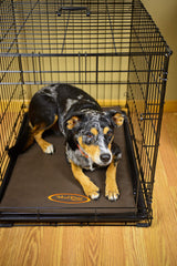 Mud River Crate Cushion foam padding closeup highlights 1-inch support for relaxed rest.