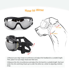 Muejjur dog sunglasses worn by a dog during outdoor drive.