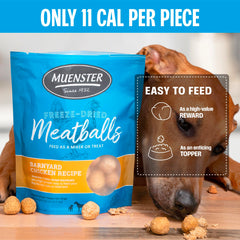 Muenster ingredients shown: chicken, organs, salt-grain-free recipe for sensitive pets.