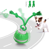 Muhhiba small-dog interactive ball for focused exercise and enrichment