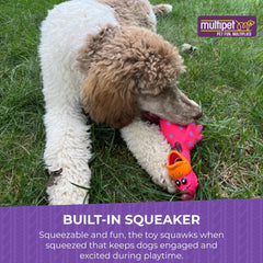 Multipet Globkens chicken in assorted colors for playful variety.