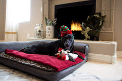 Multipet holiday lamb chop close-up showing squeaker and plush texture