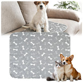 Muoyid washable puppy pads with pheromones—closeup of tray lure for faster potty training