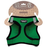 Murphy & Roxy No-Pull Harness green front view with reflective trim for safer evening walks