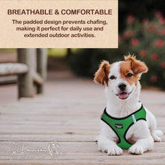 Murphy & Roxy No-Pull harness with reflective trim for night-time visibility