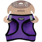 Murphy & Roxy No-Pull Harness padded chest provides comfortable, controlled walks.