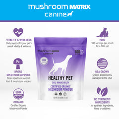 Mushroom Matrix pet dosing spoon showing precise 1 gram measure.