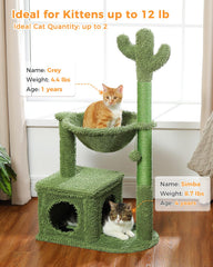 MUTTROS Cactus Cat Tree cat condo interior for privacy and rest