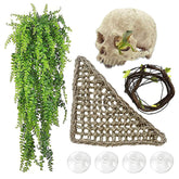 MUYG bearded dragon skull hide decor creates a natural hiding spot and focal terrarium feature.