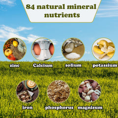 MUYG livestock enjoying salt lick illustrates natural hydration and mineral intake.