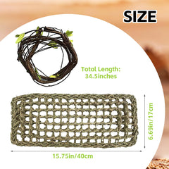 MUYG reptile vine decoration adds natural color and climbing opportunity.