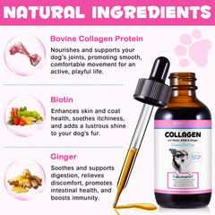 MXCZBSM dog collagen drops pour demonstrates simple dosing for joint mobility