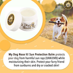 Closeup of applying My Dog Nose It balm to a dog's nose.