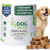 My Dog Sanctuary 14in1 multivitamin bottle shows daily nutrition for active and aging dogs.