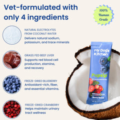 My Dog's Kitchen PupSip bowl and water scene highlighting flavorful hydration for dogs