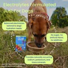 My Dog's Kitchen PupSip sticks Berry for quick on-the-go electrolyte hydration