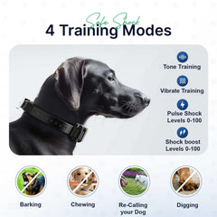 My Pet Command waterproof dog collar remains reliable in wet outdoor conditions.
