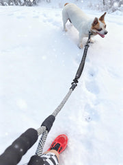 Mycicy bungee leash extender uses heavy-duty metal hooks for secure attachments